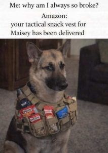 Stupid Bar Memes tacticulscheezeits