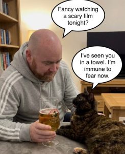 Stupid Bar Memes 0166547sn