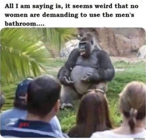 Stupid Bar Memes 0793268971sn
