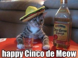 Stupid Bar Memes 0ceae3ff3