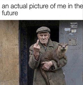Stupid Bar Memes 30043010sn