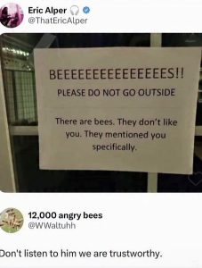 Stupid Bar Memes 444323sn