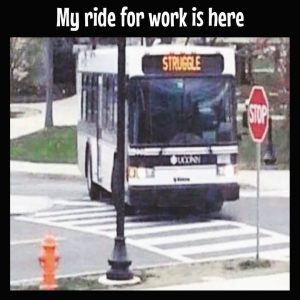 Stupid Bar Memes 7343013sn