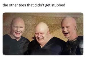 Stupid Bar Memes 793947556sn