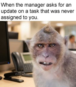 Stupid Bar Memes 85174sn