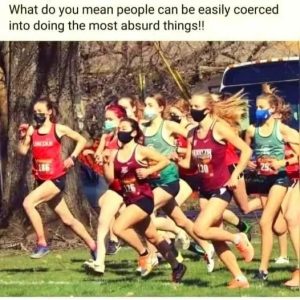 Stupid Bar Memes 85fd32c