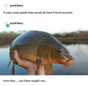 Stupid Bar Memes 8a67321ff