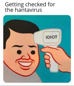 Stupid Bar Memes 8feef14