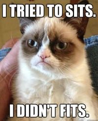 Stupid Bar Memes 9i8u7y