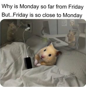 Stupid Bar Memes a34Xo0rss