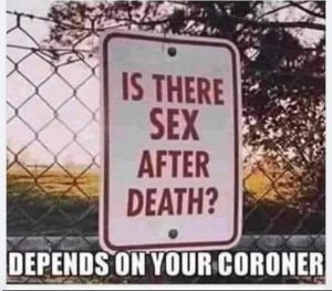 Stupid Bar Memes a65dcf897