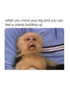 Stupid Bar Memes a6ZYv3ess