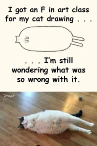 Stupid Bar Memes a9yg310ss