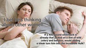 Stupid Bar Memes a9yxMzLss