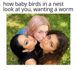 Stupid Bar Memes aAyznKgss