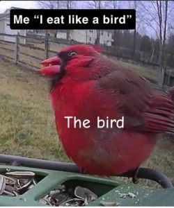 Stupid Bar Memes aAyzzxLss