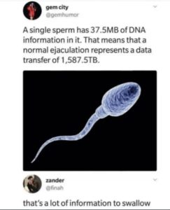 Stupid Bar Memes aByAQmPss