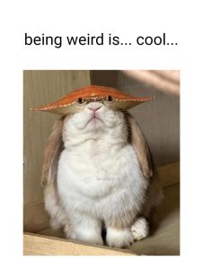 Stupid Bar Memes aByAwdxss