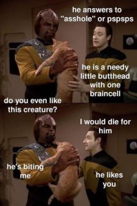 Stupid Bar Memes aE09BEoss