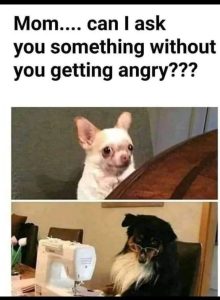 Stupid Bar Memes aE09GXnss