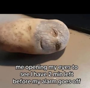 Stupid Bar Memes aKGQgYNss