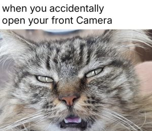 Stupid Bar Memes aKGorYgss