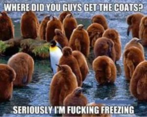 Stupid Bar Memes aLnZQWzss
