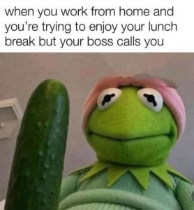 Stupid Bar Memes aRBqxM5ss