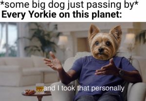 Stupid Bar Memes aVvynwnss