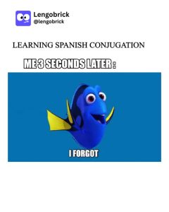 Stupid Bar Memes aXPyweDss