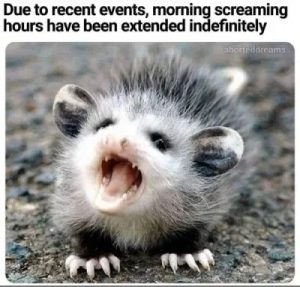 Stupid Bar Memes abf32518
