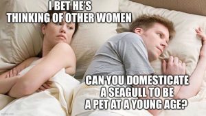Stupid Bar Memes ae9n6pOss