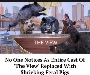 Stupid Bar Memes ae9nNymss