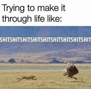 Stupid Bar Memes an7PpGEss