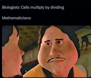 Stupid Bar Memes apR4LmWss