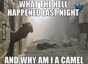 Stupid Bar Memes azxW1GKss