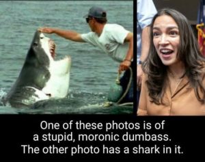 Stupid Bar Memes b658d1b1