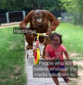 Stupid Bar Memes elievesmediastells