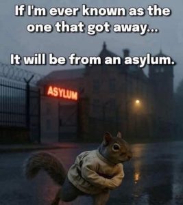Stupid Bar Memes irrel