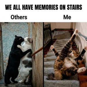 Stupid Bar Memes mesfall