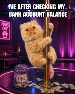 Stupid Bar Memes nksbalance
