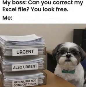 Stupid Bar Memes ntspapers