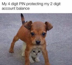 Stupid Bar Memes ogskitten