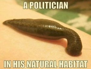 Stupid Bar Memes politicitatsleeches