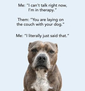 Stupid Bar Memes pspitbull