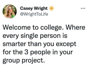 Stupid Bar Memes roupsproject