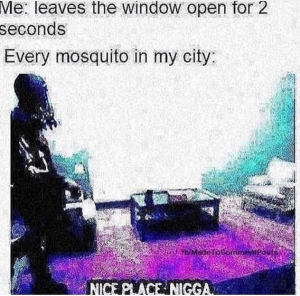 Stupid Bar Memes 043bde2