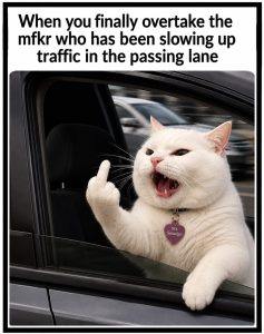 Stupid Bar Memes 7204292386sn