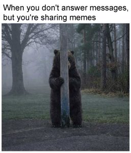 Stupid Bar Memes 72248602sn