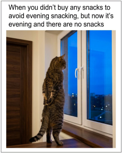 Stupid Bar Memes 7288129724sn